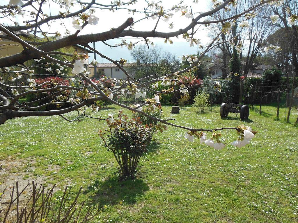 Al Pic De Corone Bed & Breakfast Terzo d' Aquileia Exterior photo