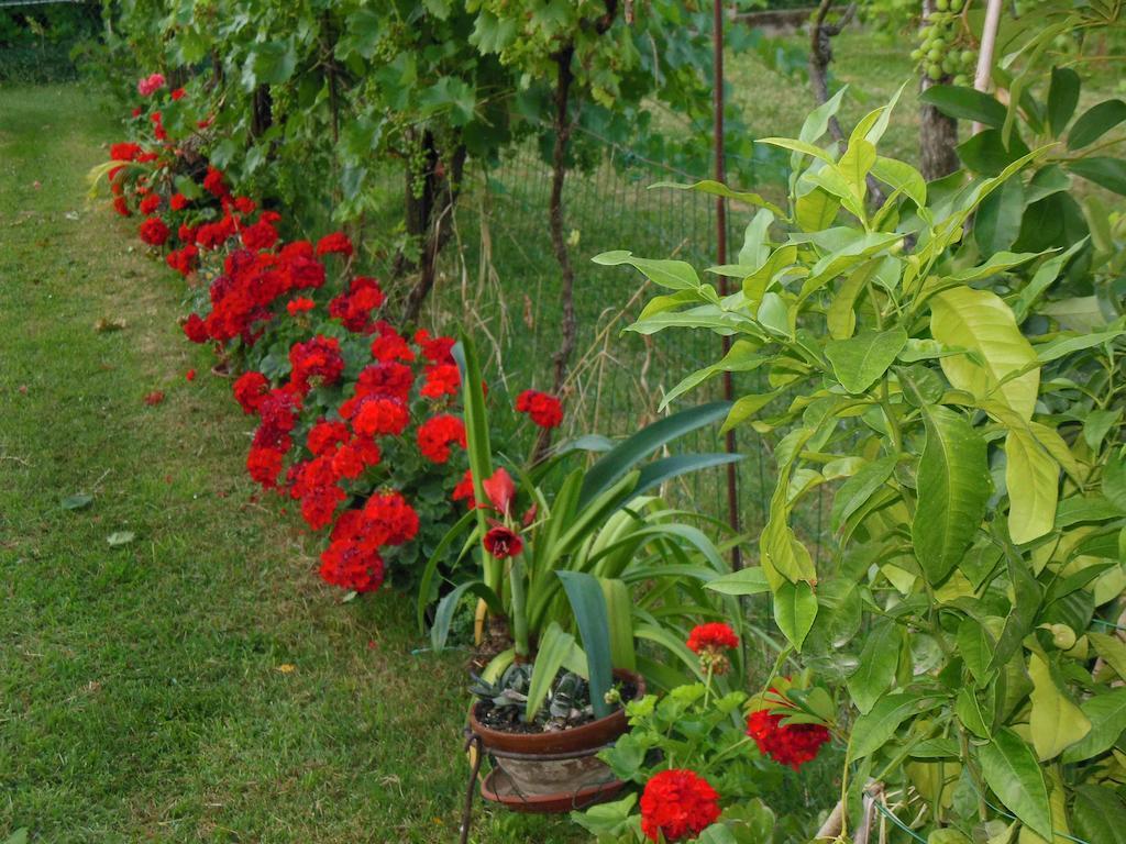 Al Pic De Corone Bed & Breakfast Terzo d' Aquileia Exterior photo