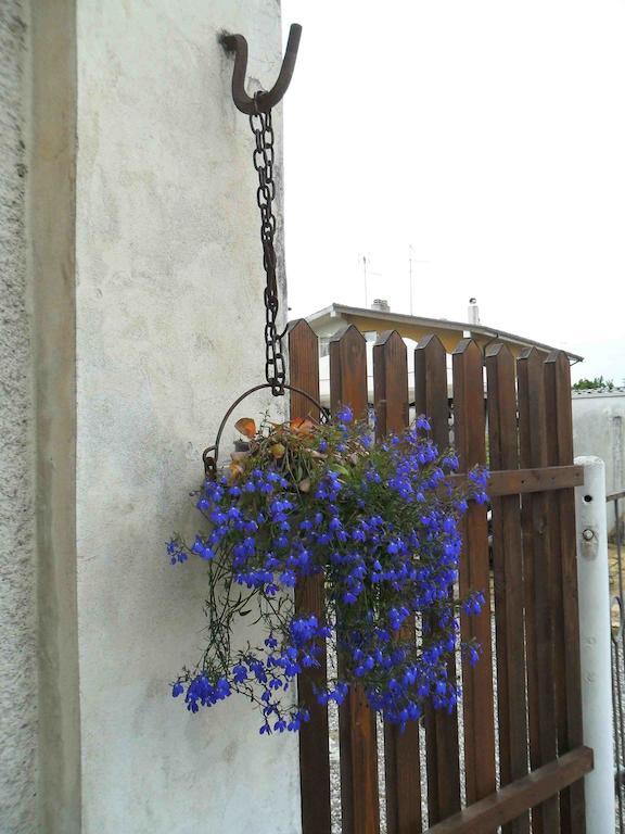 Al Pic De Corone Bed & Breakfast Terzo d' Aquileia Exterior photo