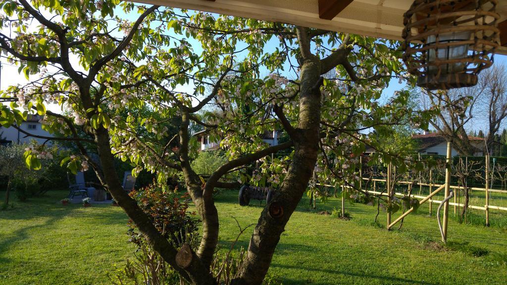 Al Pic De Corone Bed & Breakfast Terzo d' Aquileia Exterior photo