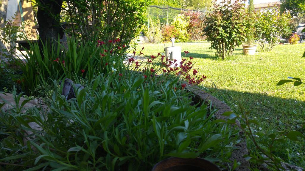 Al Pic De Corone Bed & Breakfast Terzo d' Aquileia Exterior photo