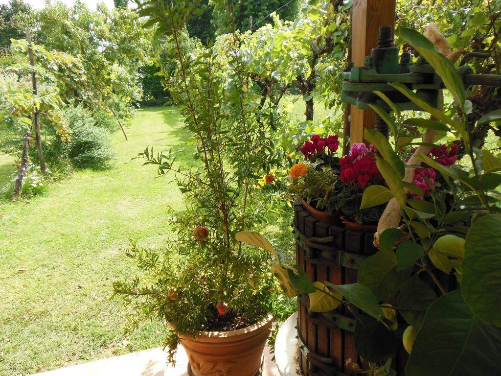Al Pic De Corone Bed & Breakfast Terzo d' Aquileia Exterior photo