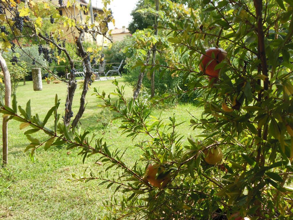 Al Pic De Corone Bed & Breakfast Terzo d' Aquileia Exterior photo
